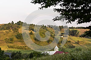 Green summer landscape in rural Romania