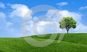 Green summer landscape scenic view wallpaper. Solitary tree on grassy hill and blue sky with clouds. Lonely tree springtime.