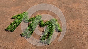 Green summer lawn grass symbol shape on brown soil or earth background, children holding hands sign.