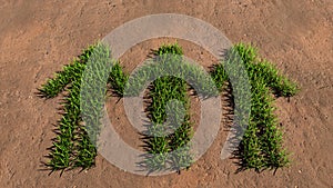 Green summer lawn grass symbol shape on brown soil or earth background, children holding hands sign. 3d