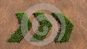 Green summer lawn grass symbol shape on brown soil or earth background, dangerous turn road sign