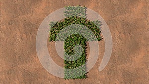 Green summer lawn grass symbol shape on brown soil or earth background, sign of religious christian cross