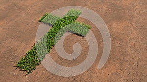 Green summer lawn grass symbol shape on brown soil or earth background, sign of religious christian cross