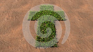 Green summer lawn grass symbol shape on brown soil or earth background, sign of religious christian cross