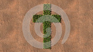 Green summer lawn grass symbol shape on brown soil or earth background, sign of religious christian cross