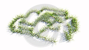 Green summer lawn grass symbol shape isolated on white background, sign of a formula one car
