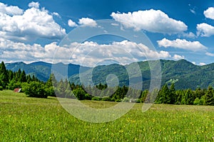 Green summer meadows and mountains at background