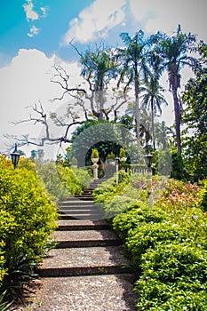 Green summer public park garden with stairs step to blue sky in the cloudy day. Beautiful day light in public park with staircase