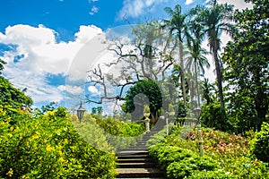 Green summer public park garden with stairs step to blue sky in the cloudy day. Beautiful day light in public park with staircase