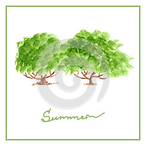 Green summer tree with many leaves watercolor