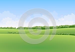 Green summer vector landscape with meadows and trees in the background with clouds in blue sky