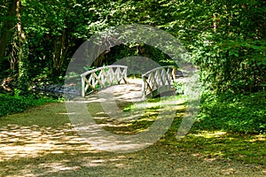 Green Sunny forest with old wooden bridge