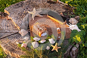 Green sunny view with aqua various shells and starfish near eco-friendly natural cleaners: eco cleaning cloth, natural