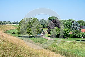 Green surroundings of the dyke at the river Waal natural reserve, The Netherlands