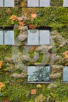 Green sustainable building covered with blooming vertical hanging plants