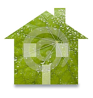 Green Sustainable Home Leaf Renewable Energy