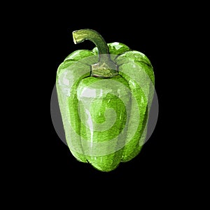 green sweet bell pepper watercolor illustration on black back