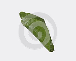 Green sweet betel leaf isolated on the white background. Fresh Betel leaf.