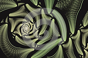 A green swirling pattern of curved shapes on a black background.