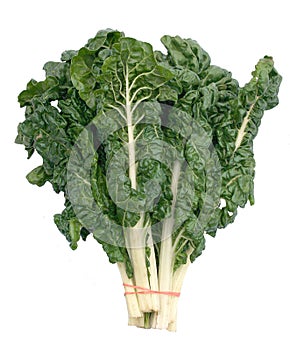 Green Swiss Chard