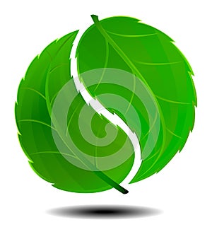 Yin Yang Green Symbol Logo photo