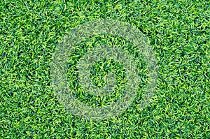 Green synthetic grass sports field