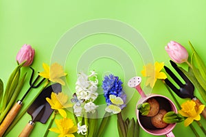 Green table with gardening tools, seedling of flowers and butterflies top view. Beautiful nature spring background