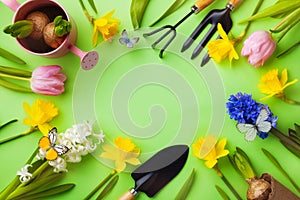 Green table with gardening tools, seedling of spring flowers and butterflies top view. Beautiful nature springtime background