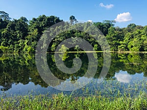 Green Tarn Surrounded by Green Trees in Thailand