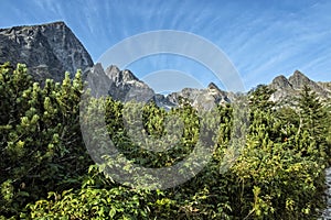Green tarn valley, High Tatras mountains, Slovakia