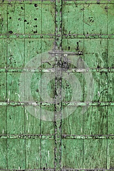 Green Tarnished Wood Door