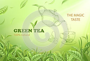 Green tea banner. Sketch style teapot, cup and pyramid bag with herbs. Realistic fresh leaves. Advertising background