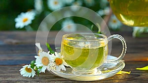 Green tea with chamomile in cup