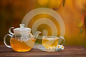 Green tea with chamomile in cup photo