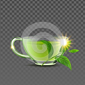 Green Tea Cup And Natural Branch Leaves Vector