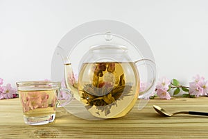 Green tea with flower bloom inside a glass teapot