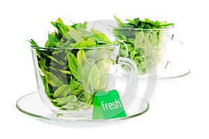 Green tea freshness photo