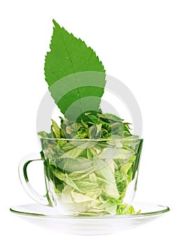 Green tea freshness photo