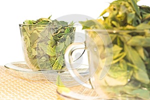 Green tea freshness photo