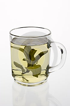 Green tea in a glass