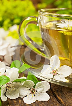 Green tea with herbs