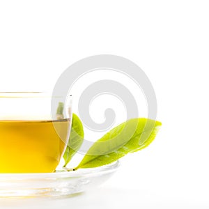 Green tea leaf and glass cup of black tea