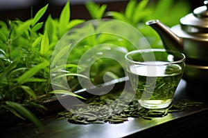 green tea leaves around insurance coverage details