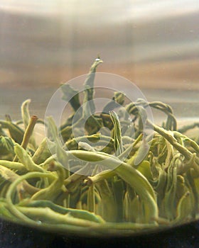 Green tea leaves in glass cups sideview