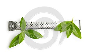 Green tea leaves isolated