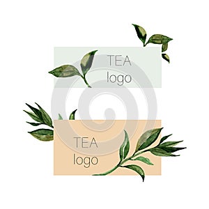 Green tea leaves set logo. Leaf plant botanical garden floral foliage