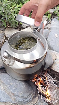 Green tea making in mountain