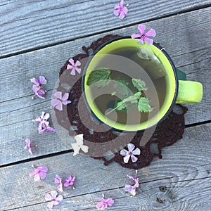 Green tea with mint with small lilac flowers of phlox around on a gray wooden background