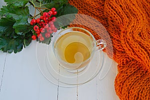 Green tea in a transparent cup and saucer on a white wooden background