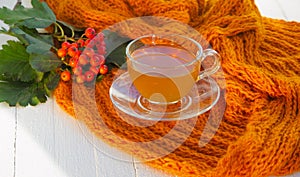 Green tea in a transparent cup and saucer on a white wooden background